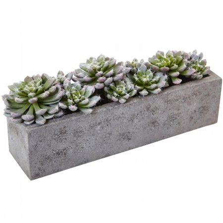 NEARLY NATURAL Succulent Garden With Textured Concrete Planter 4544